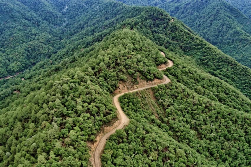 Neil Graham’s poetry about Mexico