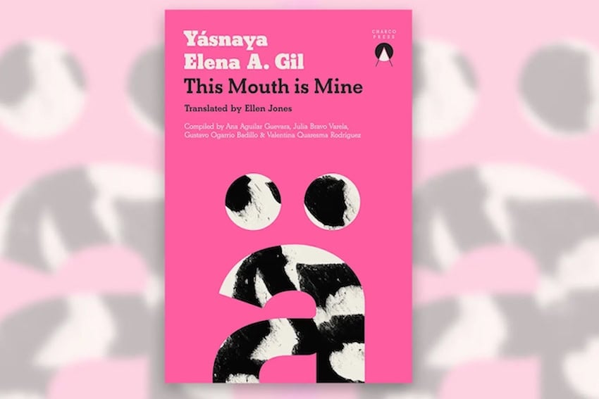 Mexico Well-Read: ‘This Mouth is Mine’ by Yásnaya Elena Aguilar Gil