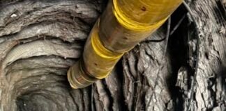 Tunnel at Panuco mine