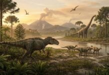 Dinosaurs in prehistoric Mexico