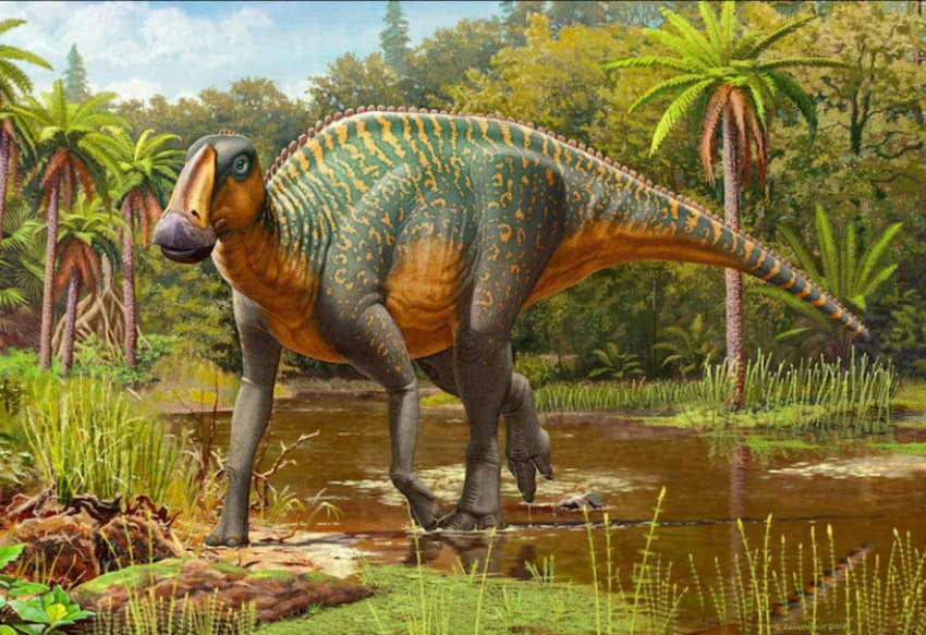 Kritosaurus dinosaur