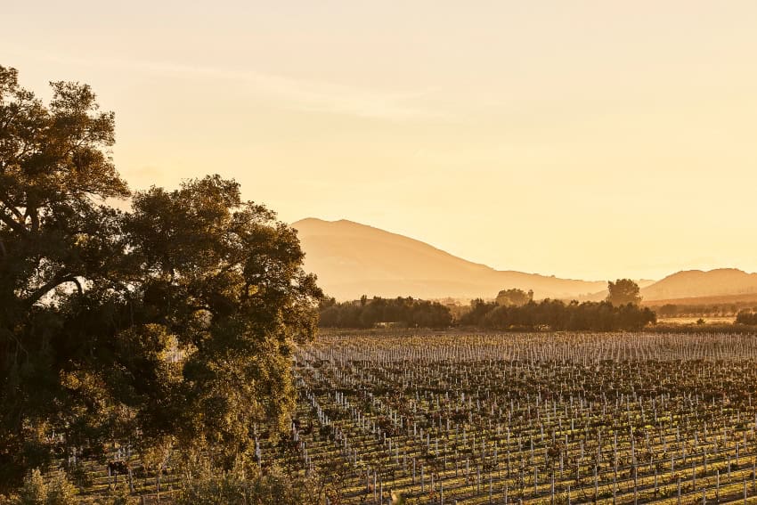 Montage location for new resort in Baja California