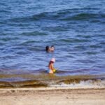 People bathing in the ocean with sargassum nearby