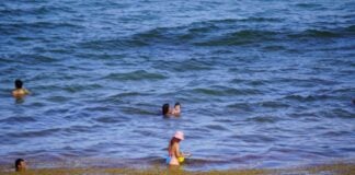 People bathing in the ocean with sargassum nearby