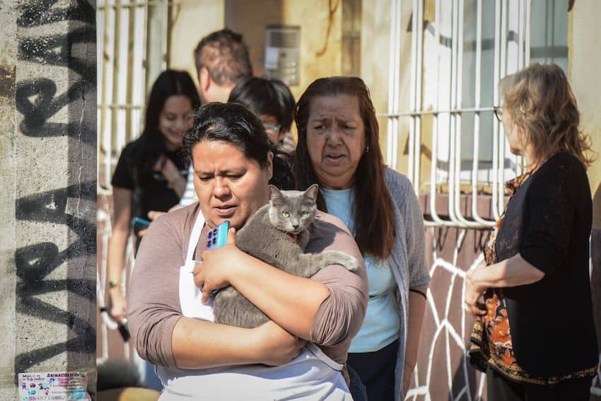 Mexico City and México state will hold a drill on Wednesday to promote prevention in a region prone to earthquakes. 