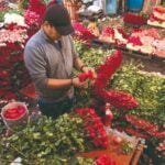 Valentine's Day Mexico City