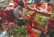 Valentine's Day Mexico City