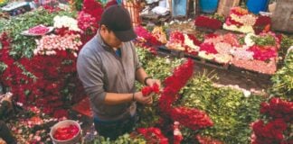 Valentine's Day Mexico City