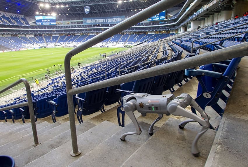 A robot dog descends the steps of a soccer stadium