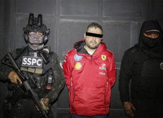 Tequila Mayor Diego Rivera Navarro handcuffed with Mexican federal agents