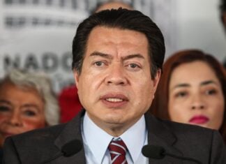 Education Minister for Mexico Mario Delgado