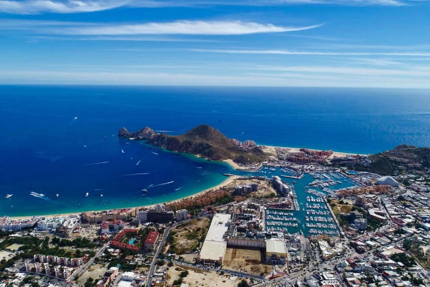 MND Local: Wildlife rescues, a roundabout update and new goals for Los Cabos tourism