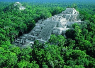 Structures I and II of the Calakmul archeological site are vast, stepped pyramid-like structures emerging out of the jungle in Campeche, Mexico.