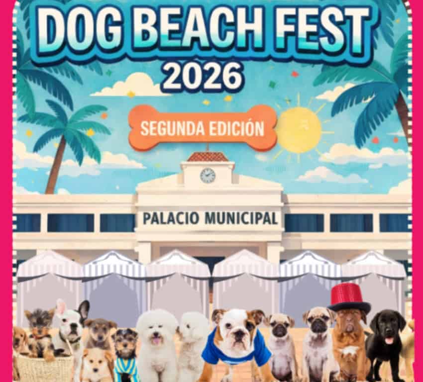 Dog Beach Fest