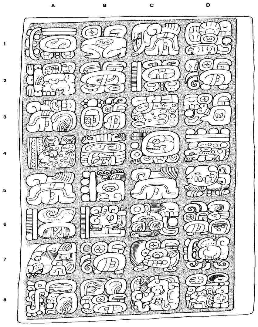 Graphite transfer on paper of Mayan hieroglyphics from a lintel at the Yaxchilian archeological site in Chiapas. The hieroglyphics are displayed in a 4 by 8 grid structure.