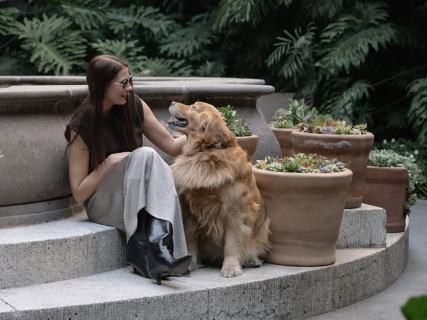 Four Seasons Mexico City