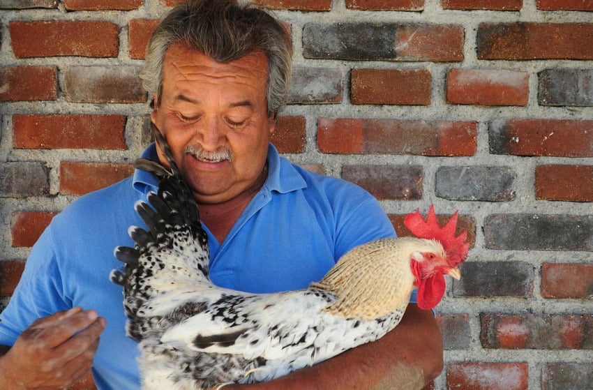 Don Lupe with rooster at Flora Farms