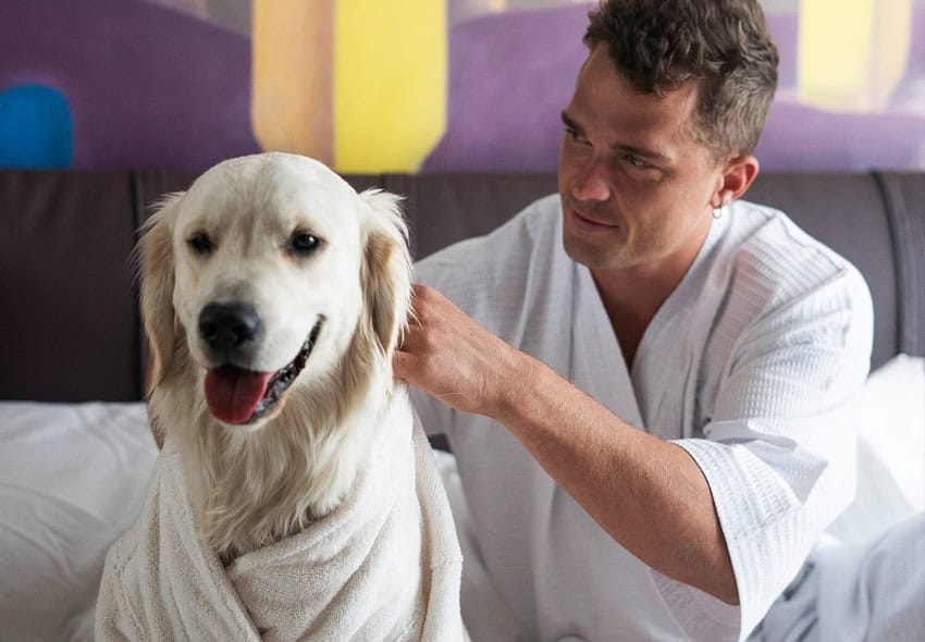 Mondrian Hotels Mexico City pets