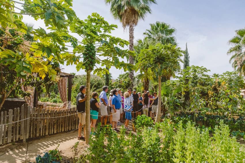 Flora Farms farm tour