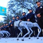 robot dfogs in Guadalupe, NL