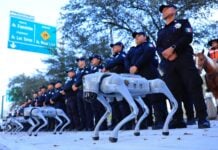 robot dfogs in Guadalupe, NL