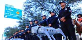 robot dfogs in Guadalupe, NL