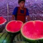 a watermelon salesman