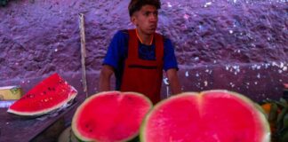 a watermelon salesman