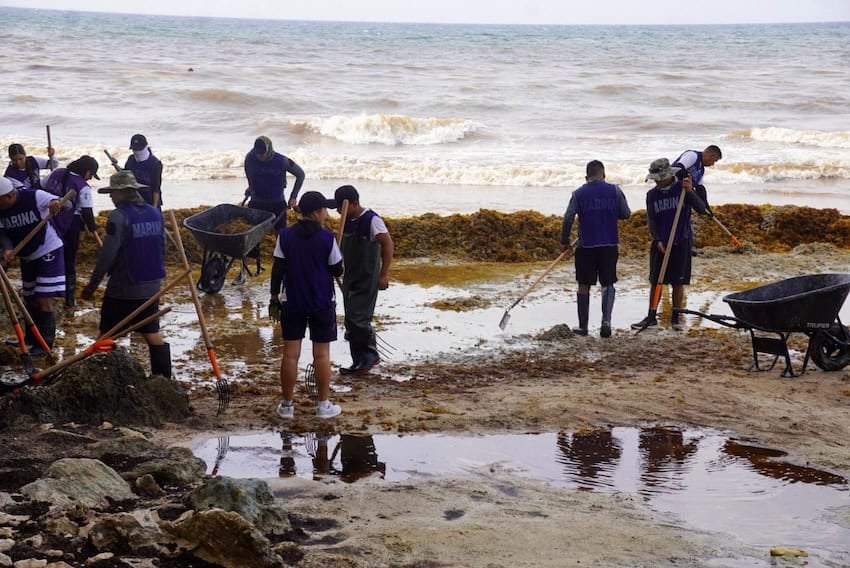 Play del Carmen 2024