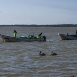 fishing boats in Gulf