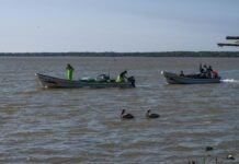 fishing boats in Gulf