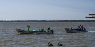 fishing boats in Gulf