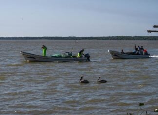 fishing boats in Gulf