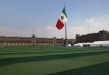 Zócalo with artificial turf