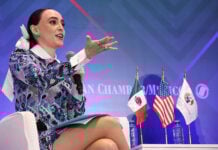 Mexico's Business Advisory Council chief Altagracia Gómez speaks into a microphone