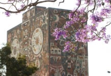 A branch of purple jacaranda blossoms hangs in front of the mural-covered UNAM library