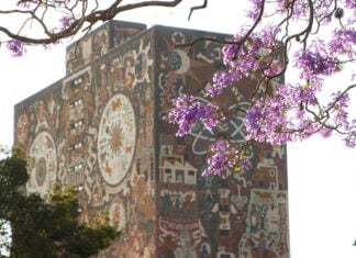 A branch of purple jacaranda blossoms hangs in front of the mural-covered UNAM library