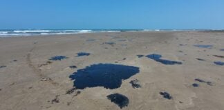 oil spill on Gulf coast
