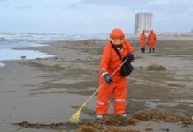 More than 50 workers from the company MAYA, a subcontractor for PEMEX, carry out intensive cleanup efforts along the beach of Coatzacoalcos, Veracruz, as part of the government's response to the presence of an oil spill in the area.