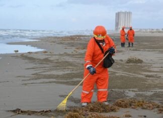 More than 50 workers from the company MAYA, a subcontractor for PEMEX, carry out intensive cleanup efforts along the beach of Coatzacoalcos, Veracruz, as part of the government's response to the presence of an oil spill in the area.