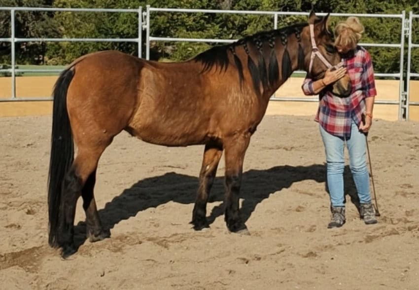 Spending time with a horse in San Miguel de Allende