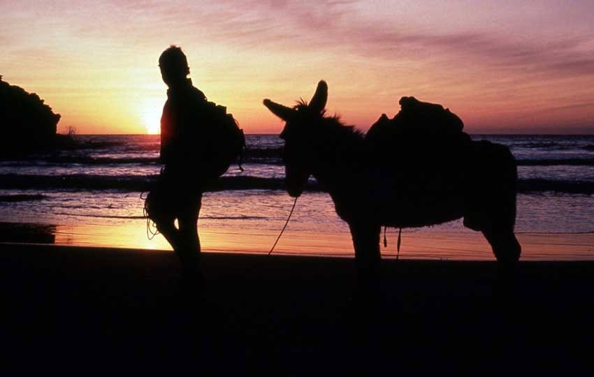 Graham Mackintosh and Bonny the burro