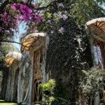 Casa Holtz in Mexico City