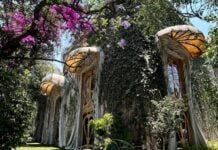 Casa Holtz in Mexico City