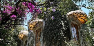 Casa Holtz in Mexico City