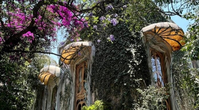 Casa Holtz in Mexico City