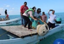 artifical reef installation