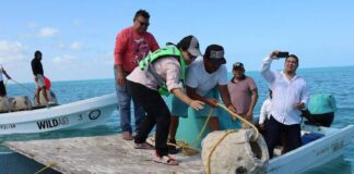 artifical reef installation