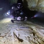 skeleton discovery site