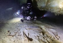 skeleton discovery site